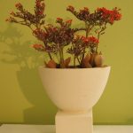 flowerpot_1